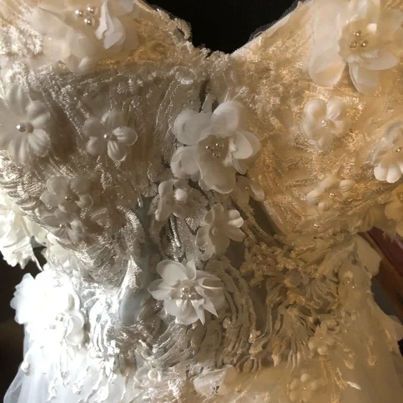 Demidress Wedding dress with Chic off the shoulder Tulle - Picture 10 of 14